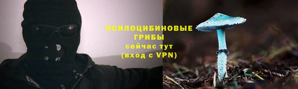 хмурый Армянск