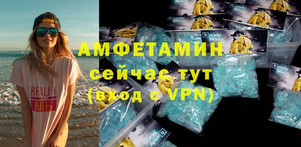 индика Арсеньев