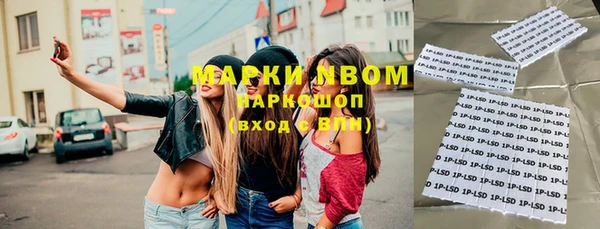 индика Арсеньев